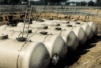UST_farm.gif (25337 bytes)